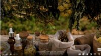 Homeopathy-Diploma-Course