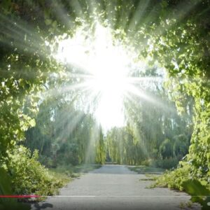 Meditation Teacher Diploma Awarded Course