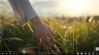 Body-Psychotherapy-Diploma-Course