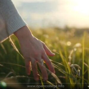 Body-Psychotherapy-Diploma-Course