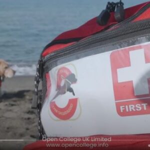 Dog-First-Aid-Course