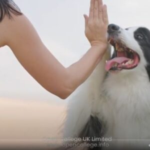 Dog-Tricks-Training-Course