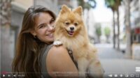 Dog-Whisperer-Course