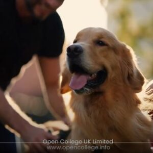 Pet- Sitting-Course