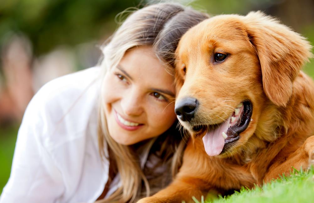 Dog Training Courses, Dog Training Qualifications Online, Gentle based