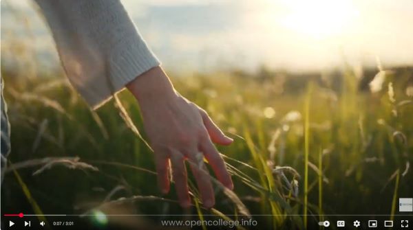 Body-Psychotherapy-Diploma-Course