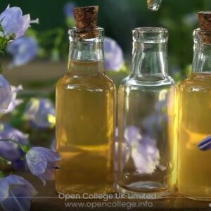 Dog-Bach-Flower-Remedies-Course