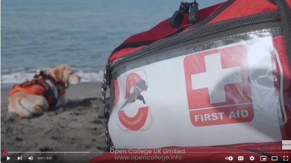 Dog-First-Aid-Course