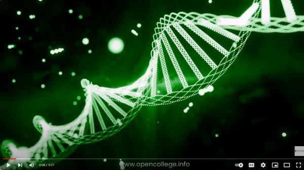 Parapsychology-Diploma-Course-Qualification-Online