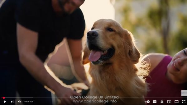 Pet- Sitting-Course