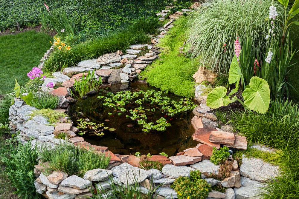 DIY & Garden Courses