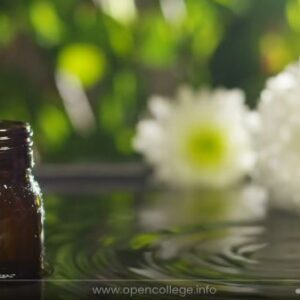 Dog-Homeopathy-Course