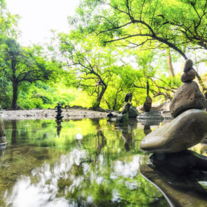 Mind Body & Spirit Courses