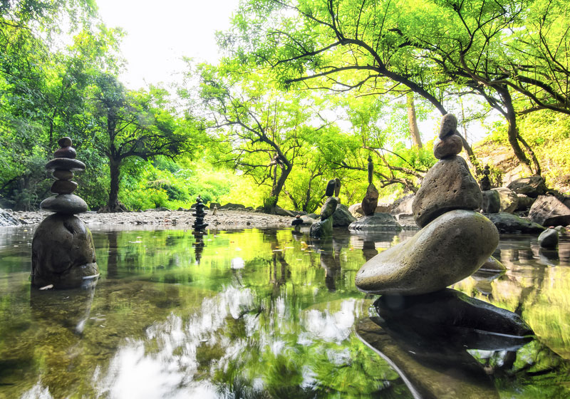 Mind Body & Spirit Courses