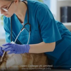 Pet-Loss-Counselling-Course