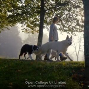 Service-Dog-training-course