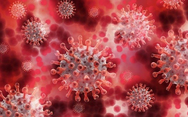 Corona Virus Training Course
