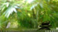 Naturopathy-Diploma-Course