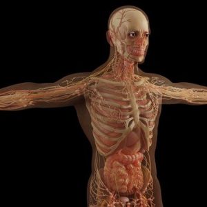 Autophagy-cell-repair-training-course
