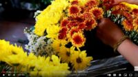 Funerl-Celebrant-Course