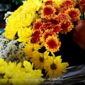 Funerl-Celebrant-Course