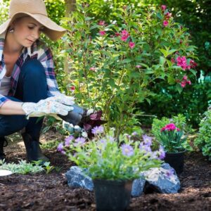 Electroculture Gardening training course online or home study training qualification.